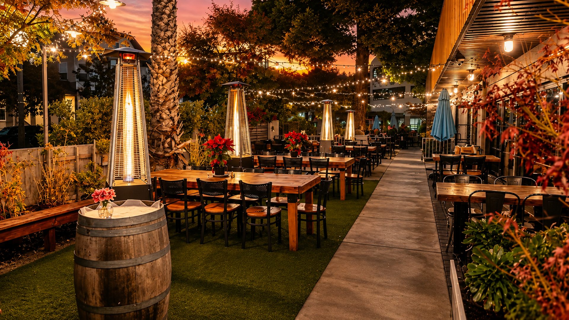 The Patio Regulars Know About